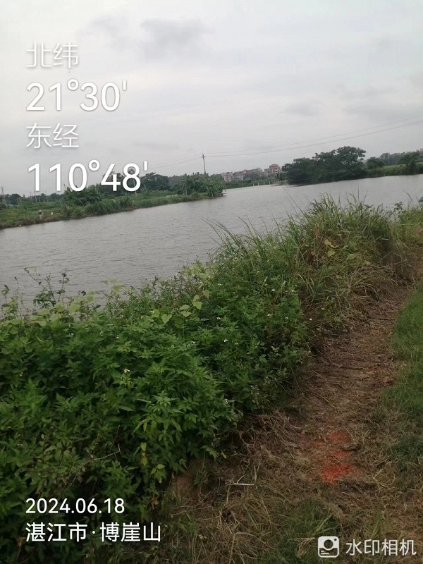 兰石镇五一村博崖山村马江鱼塘出租公开竞价交易公告