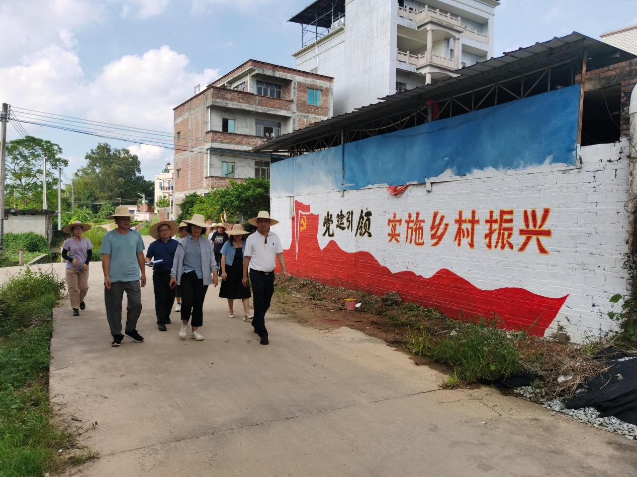 李翾深入塘㙍镇调研典型镇、典型村建设