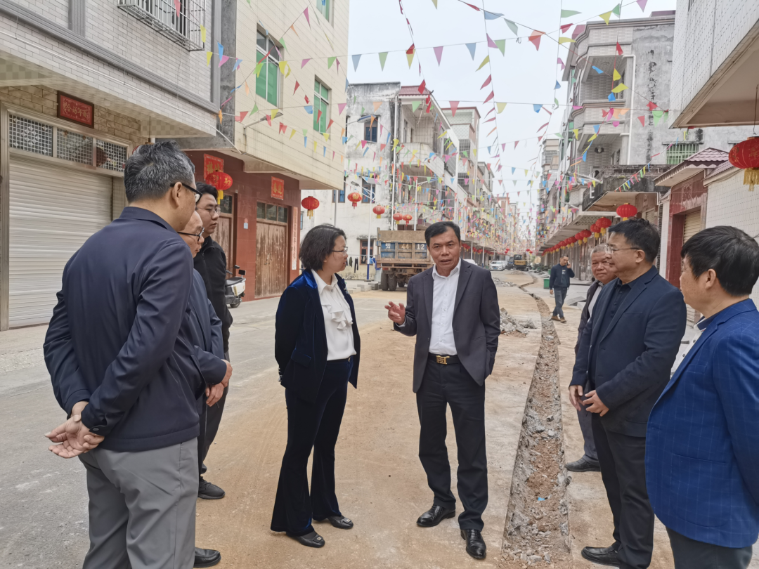 陈勇到浅水镇督办代表议案