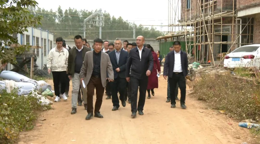 市委书记庞晓冬督导风貌管控提升示范带连片打造工作