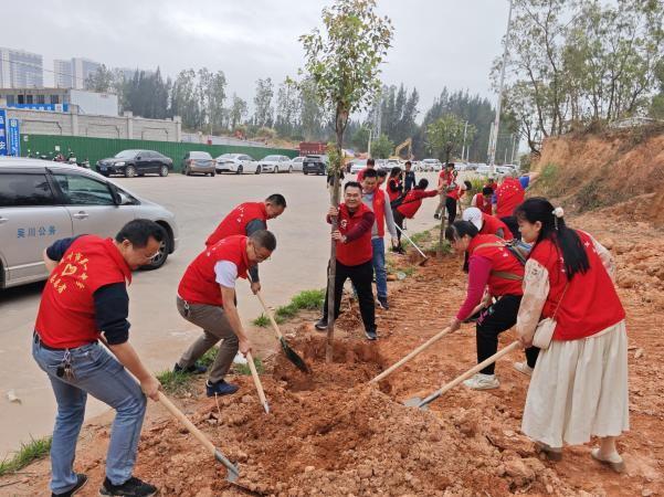 大山江街道：学雷锋 树新风