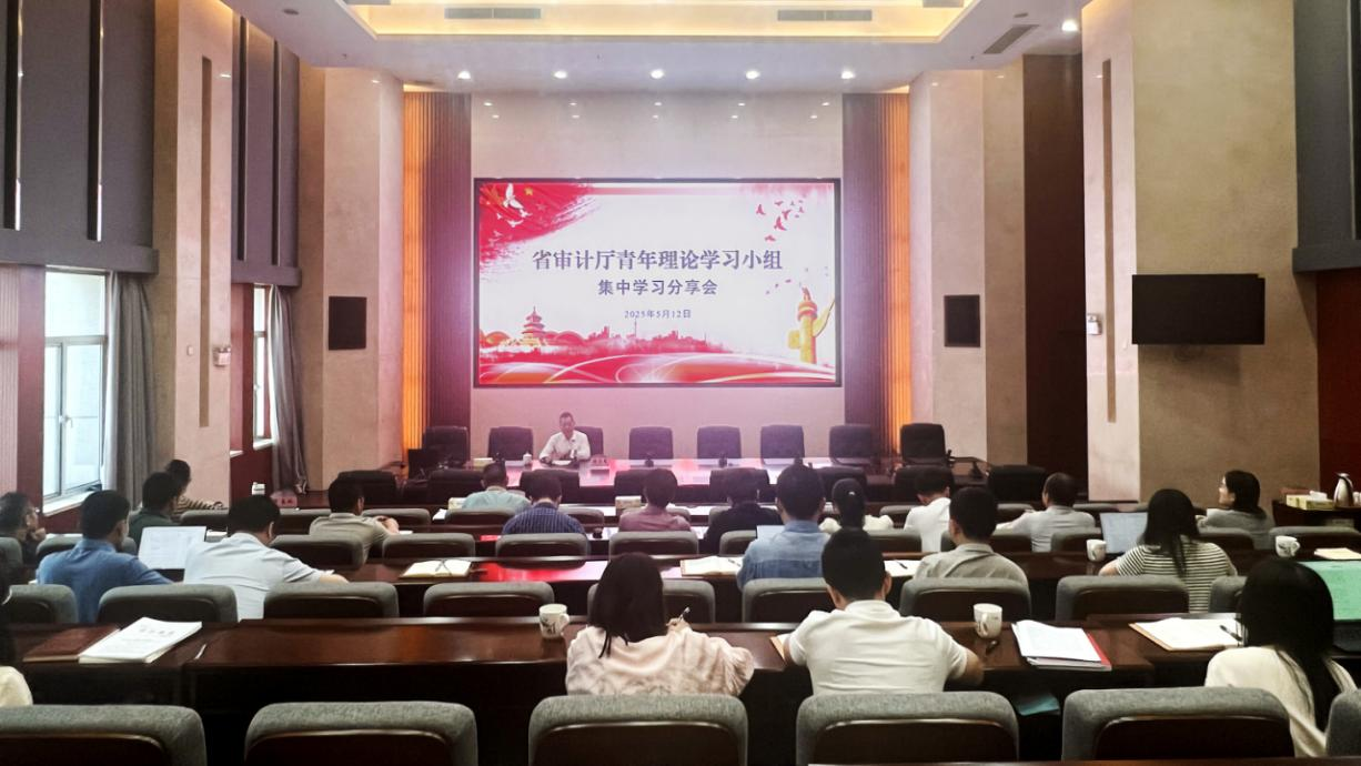 省审计厅举办青年理论学习小组集中学习分享会