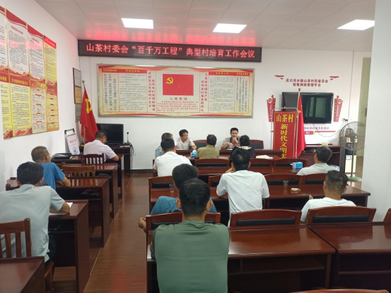 浅水镇人大：助力推进典型村培育工作，赋能乡村振兴