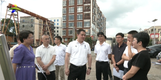 市委副书记、市长刘伟督导“百千万工程”典型镇培育建设工作