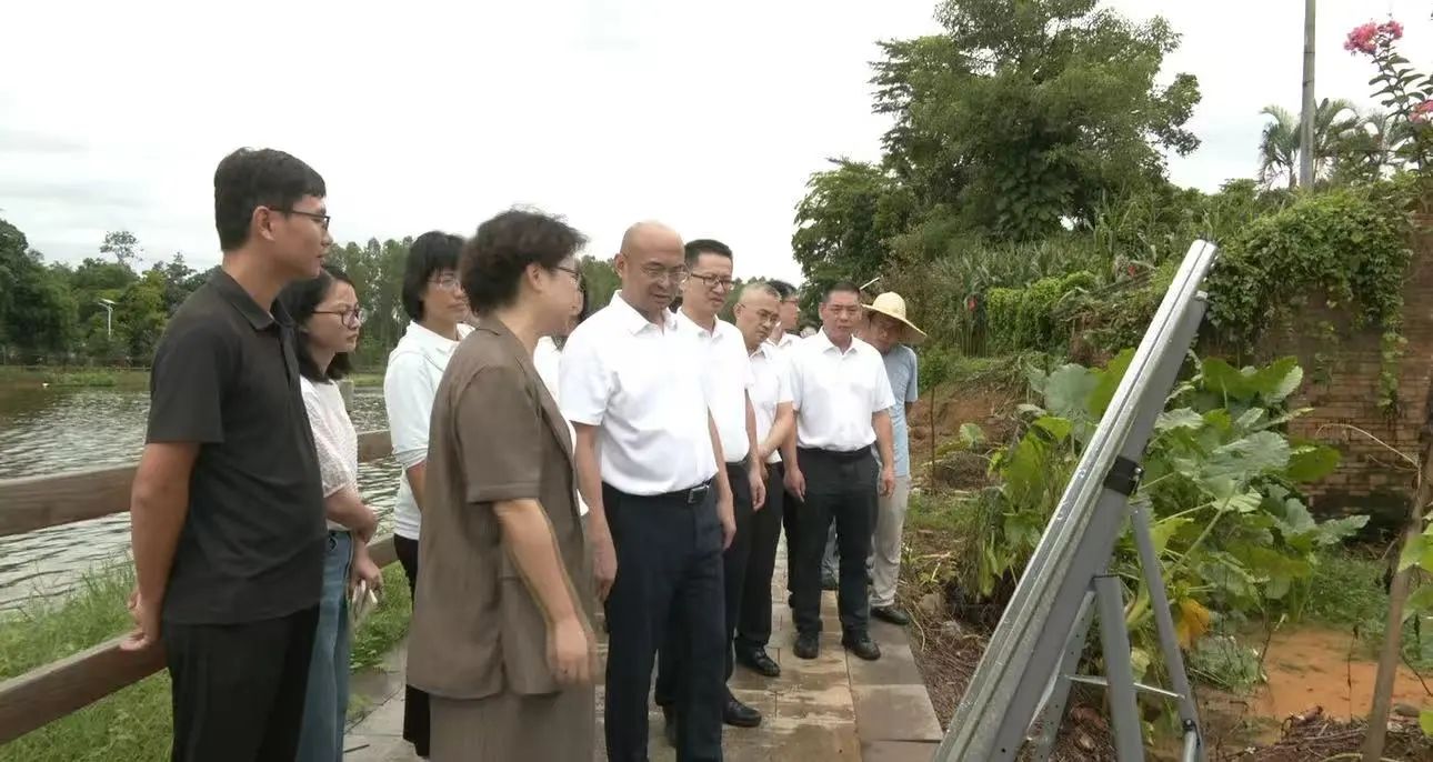 市委书记庞晓冬督导“百千万工程”典型镇村培育建设及基孔肯雅热疫情防控、爱国卫生运动等工作