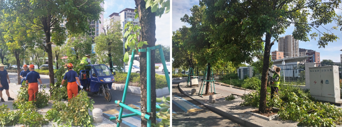 吴川城管全力迎战台风“桦加沙”，筑牢城市安全防线