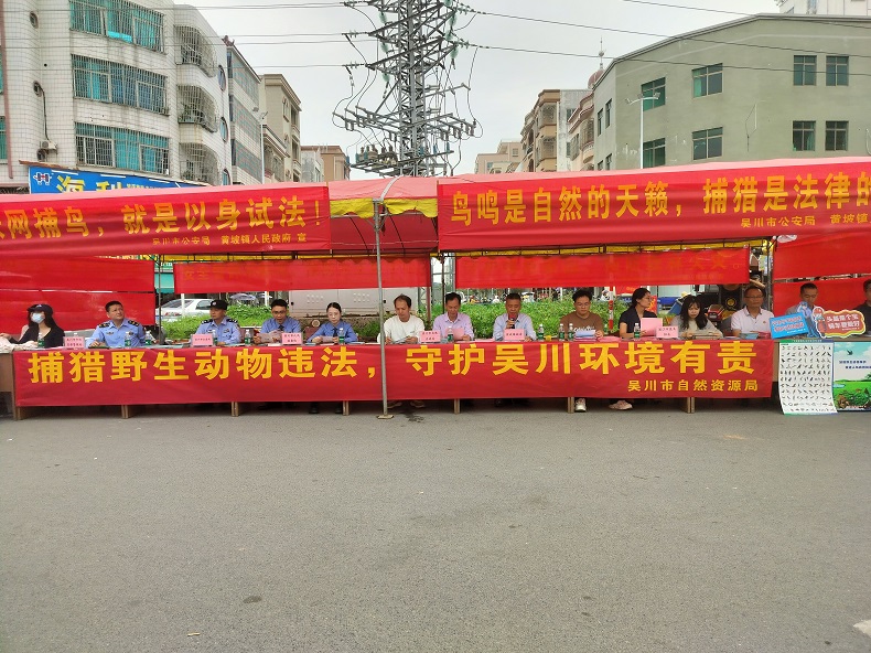 打击非法捕猎，保护绿美吴川