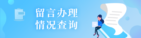 留言办理情况查询