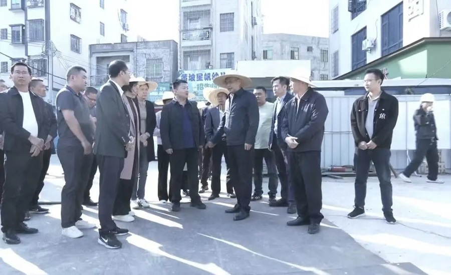 市委书记庞晓冬督导“百千万工程”典型镇培育及黄坡镇中心镇规划建设工作